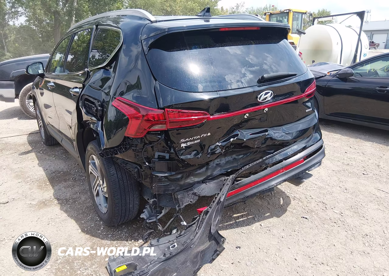 2023 Hyundai Santa Fe Sel VIN:5NMS2DAJ8PH657382 - 6