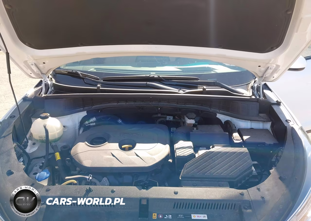 2019 Hyundai Tucson Se VIN:KM8J23A47KU946962 - 10