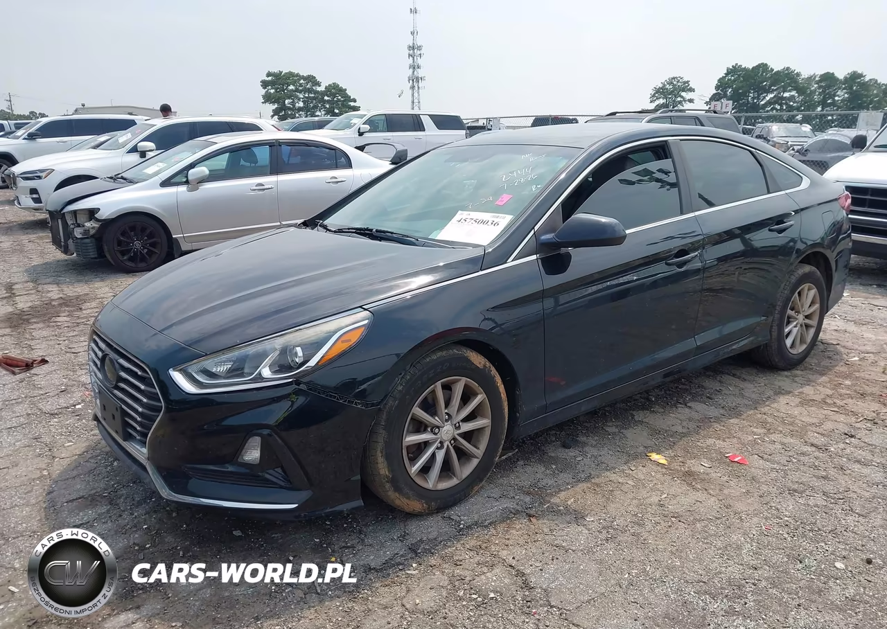 2018 Hyundai Sonata Se VIN:5NPE24AF2JH699145 - 2