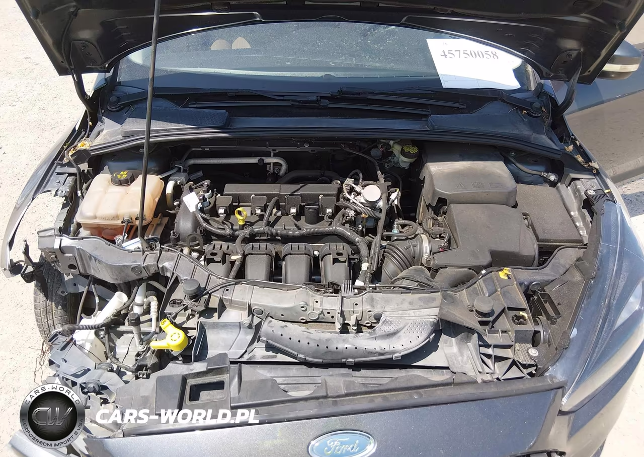 2016 Ford Focus Se VIN:1FADP3K20GL404783 - 10