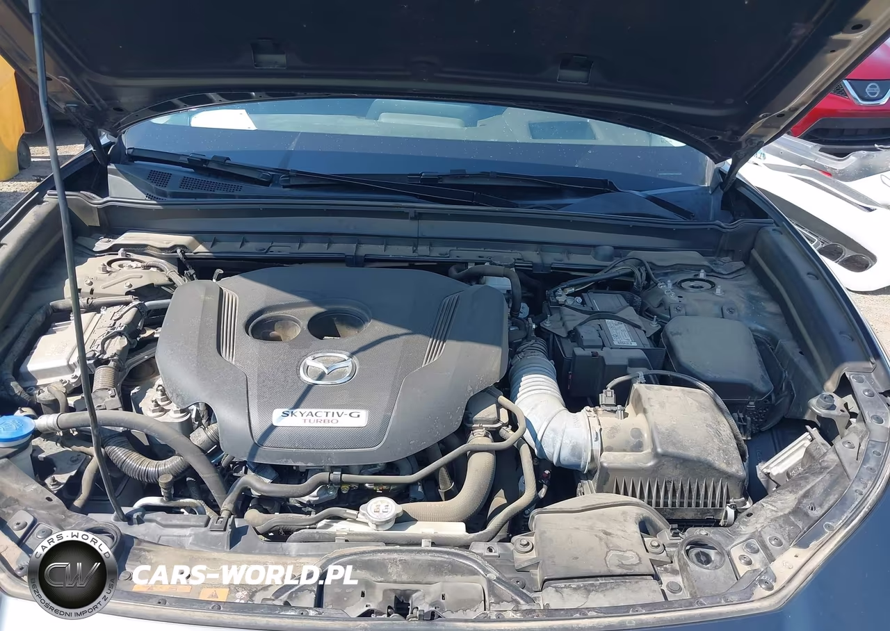 2021 Mazda Cx-30 2.5 Turbo Premium VIN:3MVDMBDYXMM308246 - 10