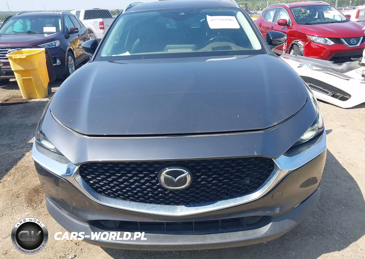 2021 Mazda Cx-30 2.5 Turbo Premium VIN:3MVDMBDYXMM308246 - 12
