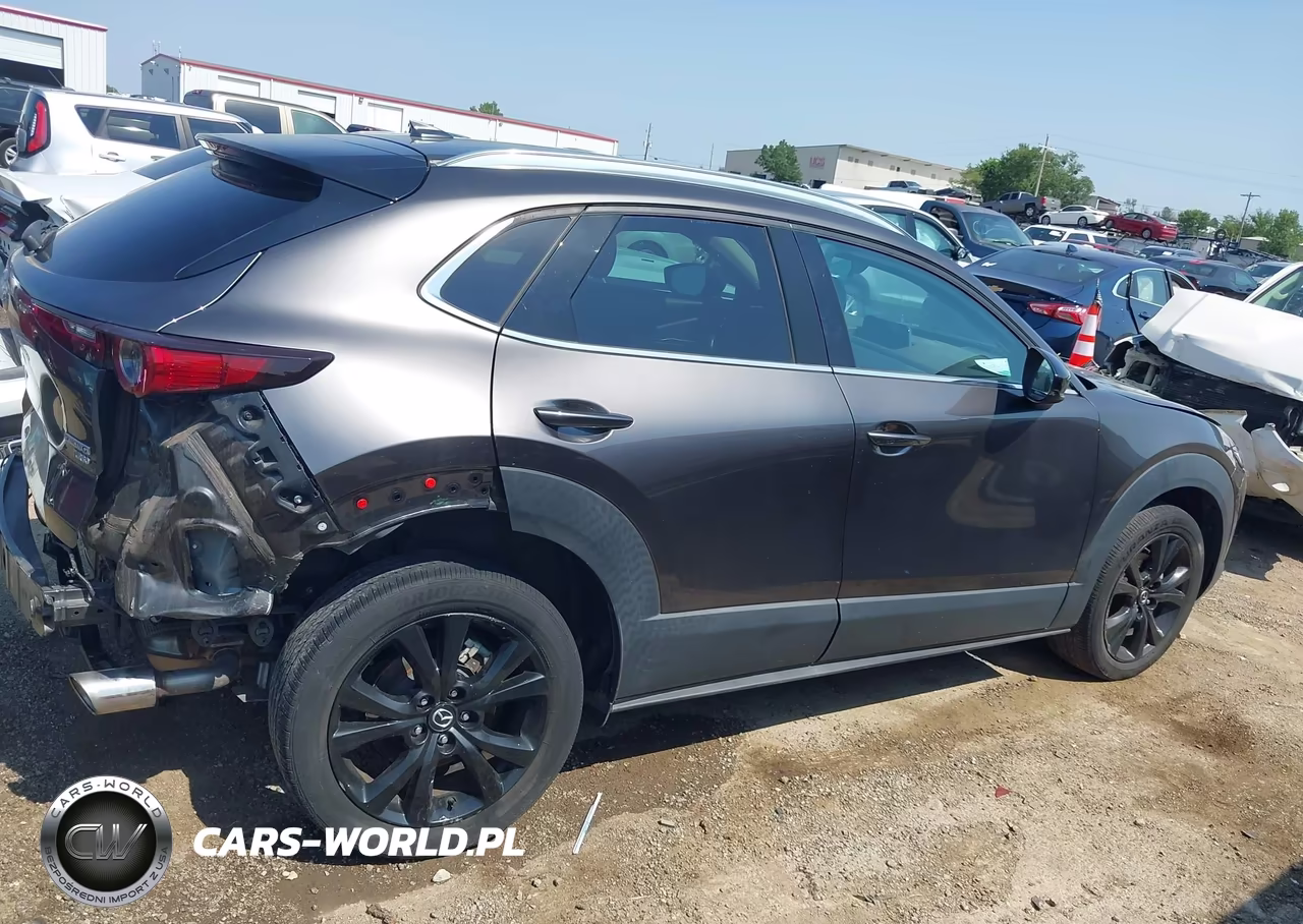 2021 Mazda Cx-30 2.5 Turbo Premium VIN:3MVDMBDYXMM308246 - 13