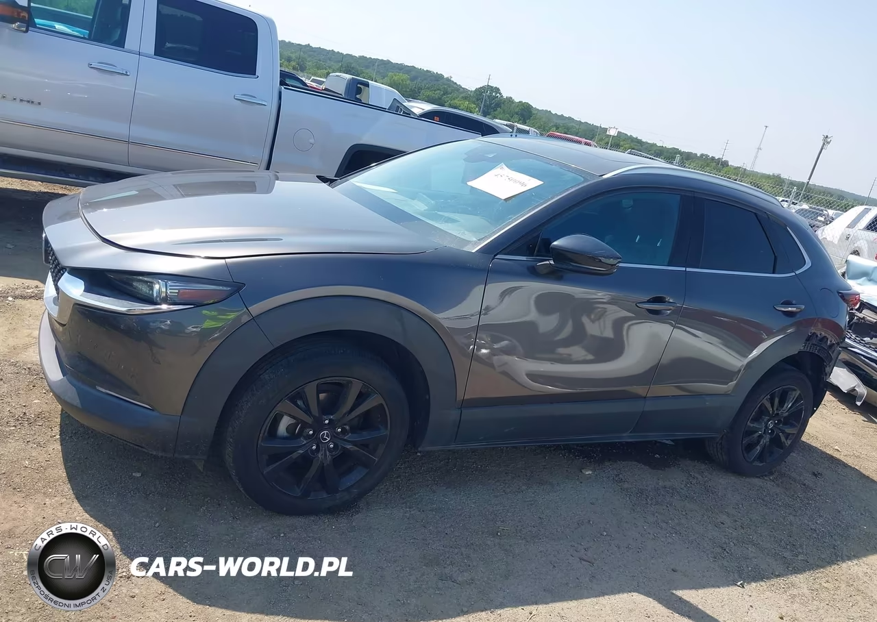 2021 Mazda Cx-30 2.5 Turbo Premium VIN:3MVDMBDYXMM308246 - 14