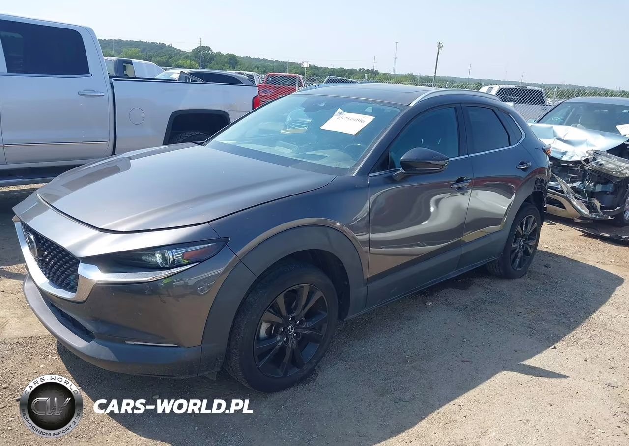 2021 Mazda Cx-30 2.5 Turbo Premium VIN:3MVDMBDYXMM308246 - 2