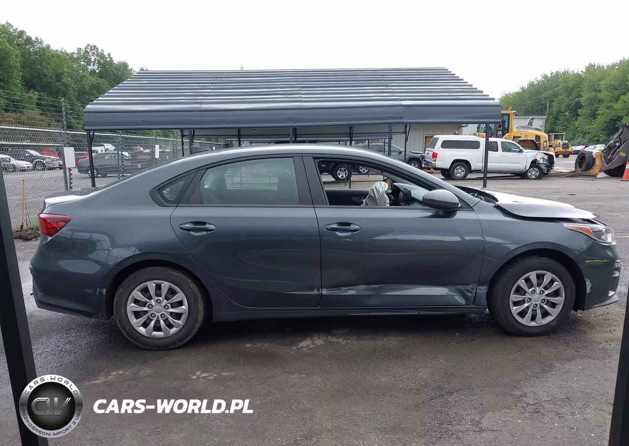 2020 Kia Forte Fe VIN:3KPF24AD9LE182080 - 12