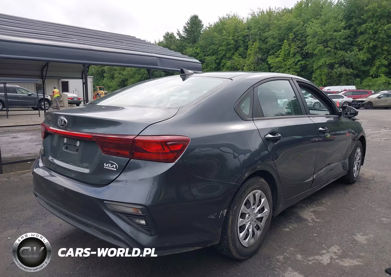2020 Kia Forte Fe VIN:3KPF24AD9LE182080 - 4