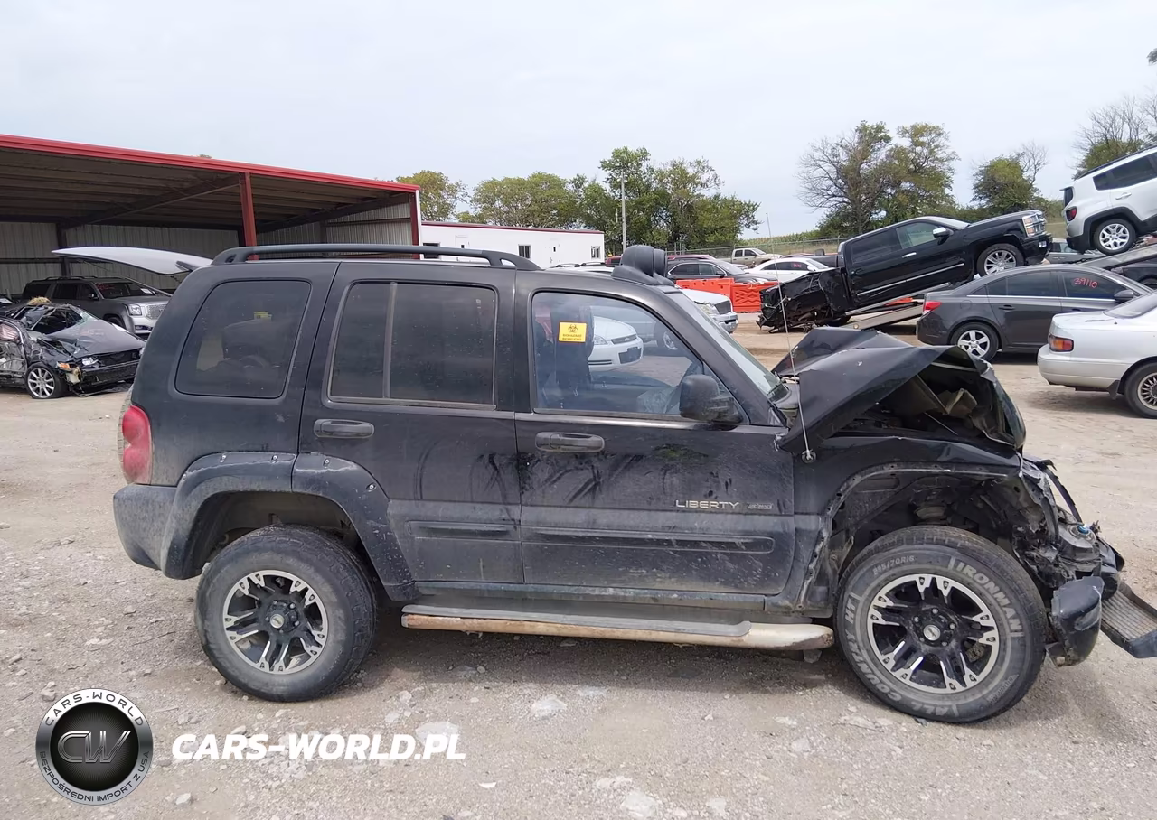 2003 Jeep Liberty Renegade VIN:1J4GL38K13W699664 - 13