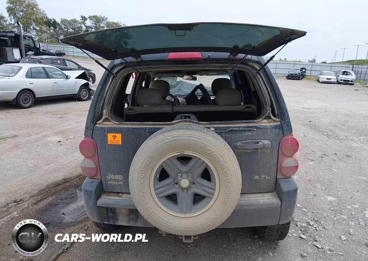 2003 Jeep Liberty Renegade VIN:1J4GL38K13W699664 - 16