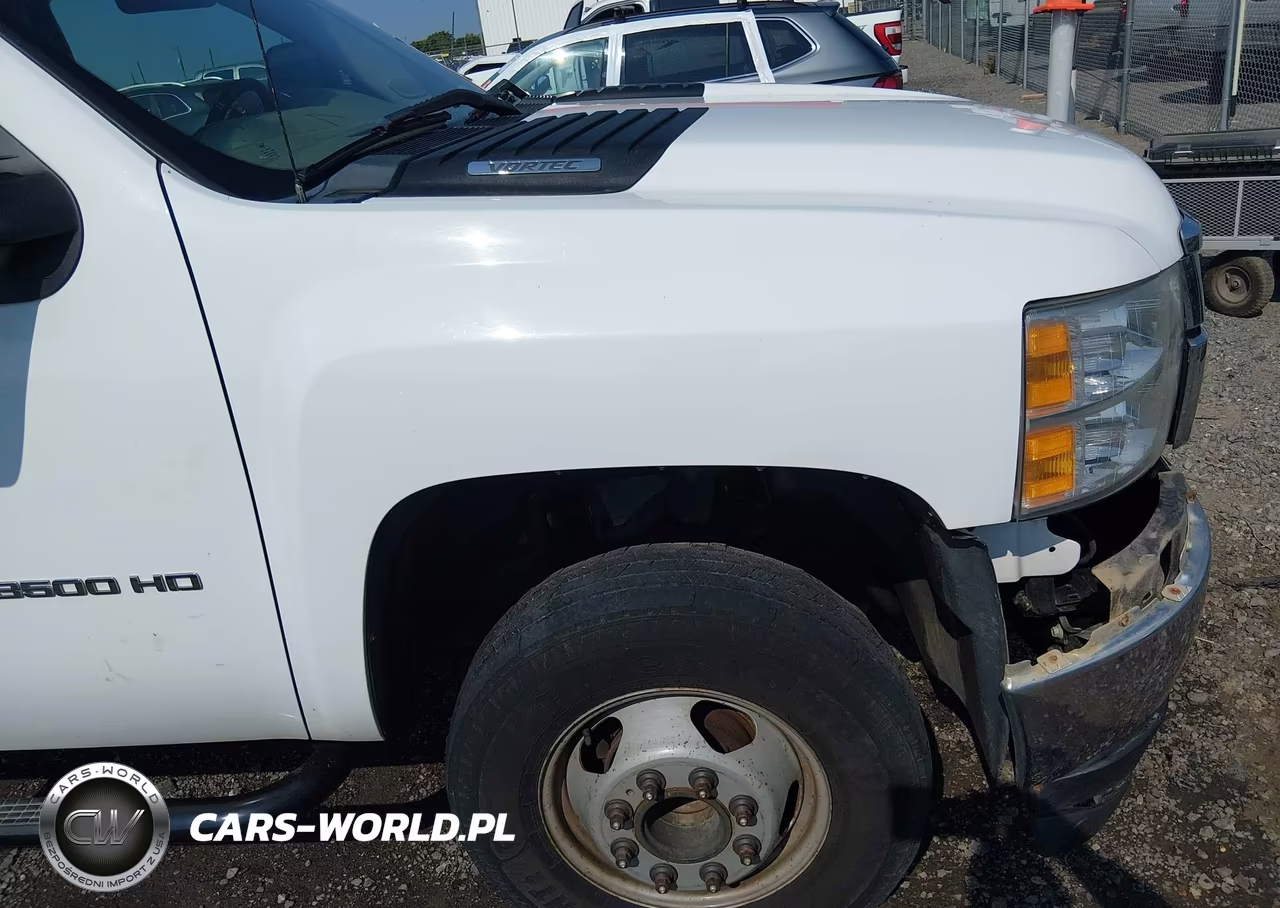 2013 Chevrolet Silverado 3500Hd Chassis Work Truck VIN:1GB4CZCG3DF142551 - 22