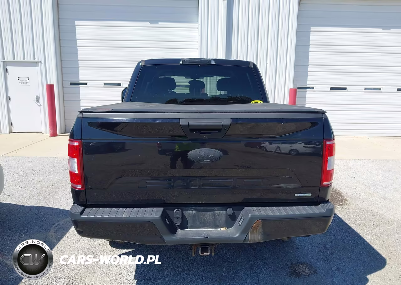 2019 Ford F-150 Xl VIN:1FTEW1EP0KKC80574 - 16