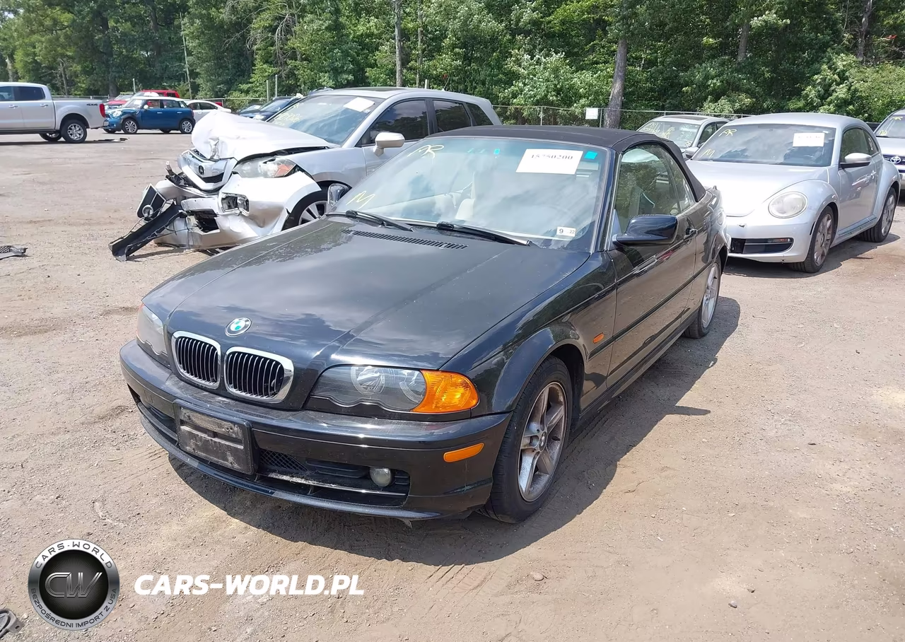 2002 BMW 325Ci VIN:WBABS33412JY42424 - 2