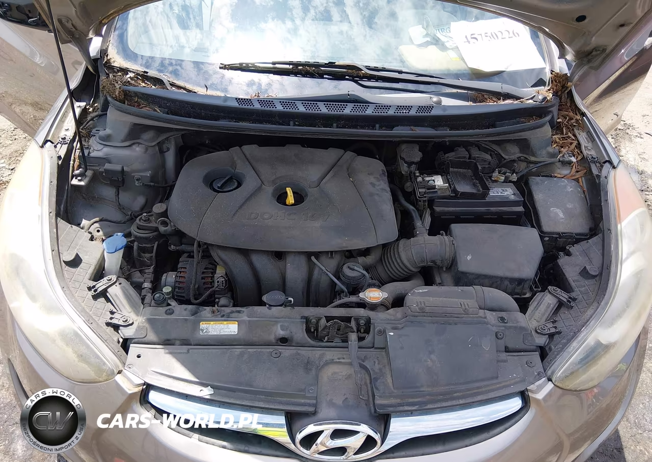 2013 Hyundai Elantra Gls VIN:5NPDH4AEXDH179491 - 10