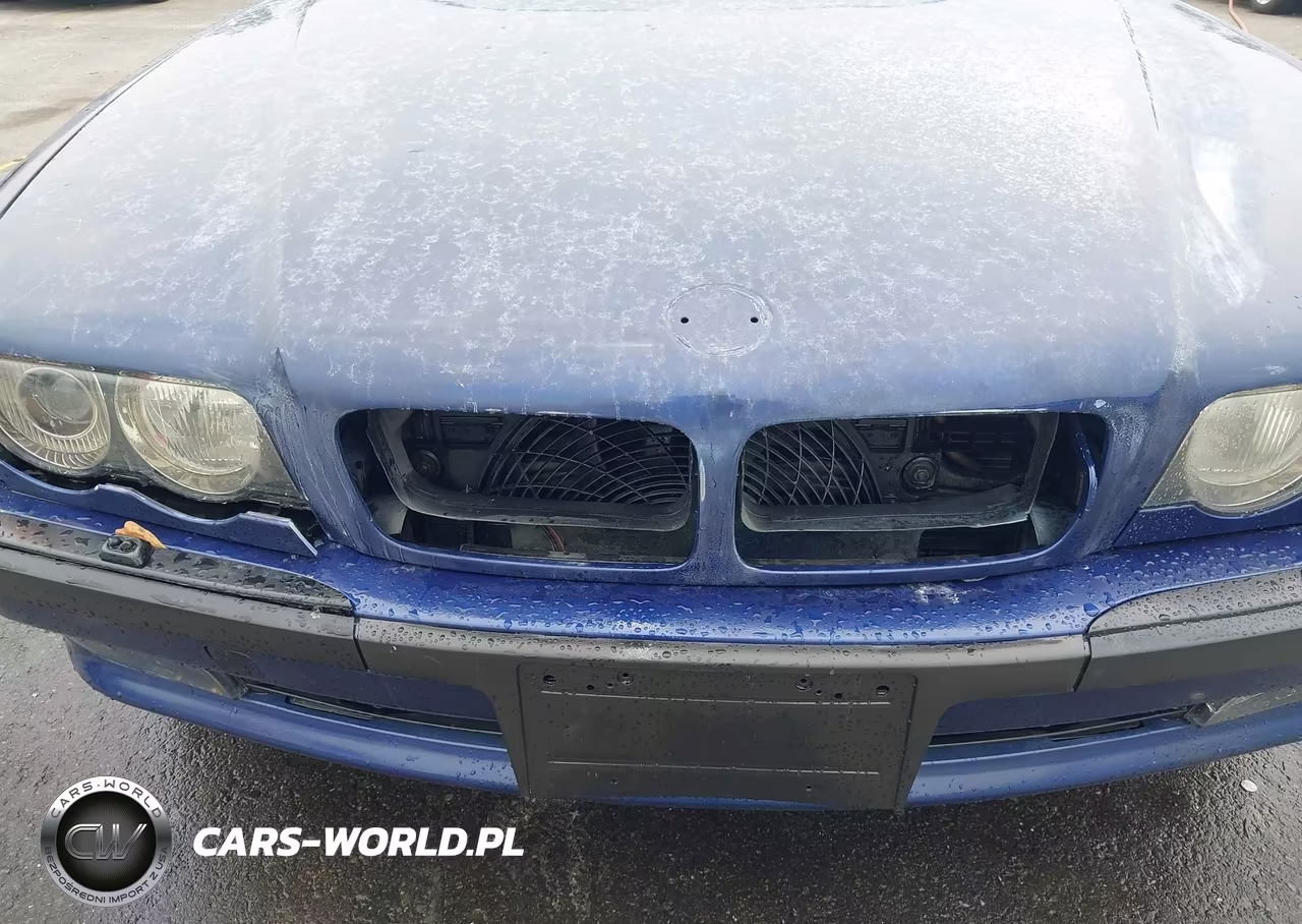 1999 BMW 740Ia VIN:WBAGG8338XDN74974 - 6