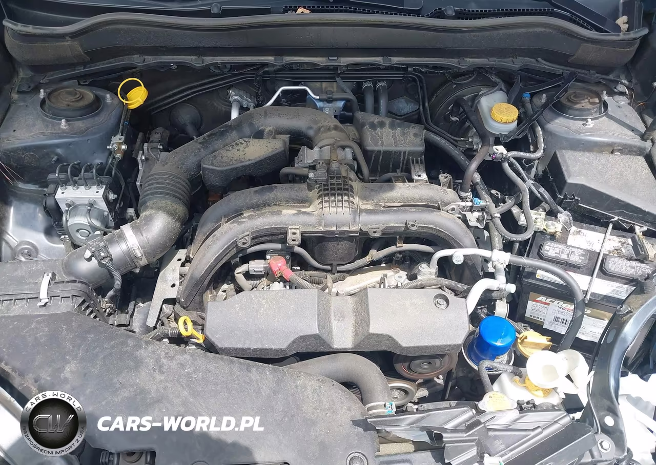 2018 Subaru Forester 2.5I VIN:JF2SJABC7JH463602 - 10
