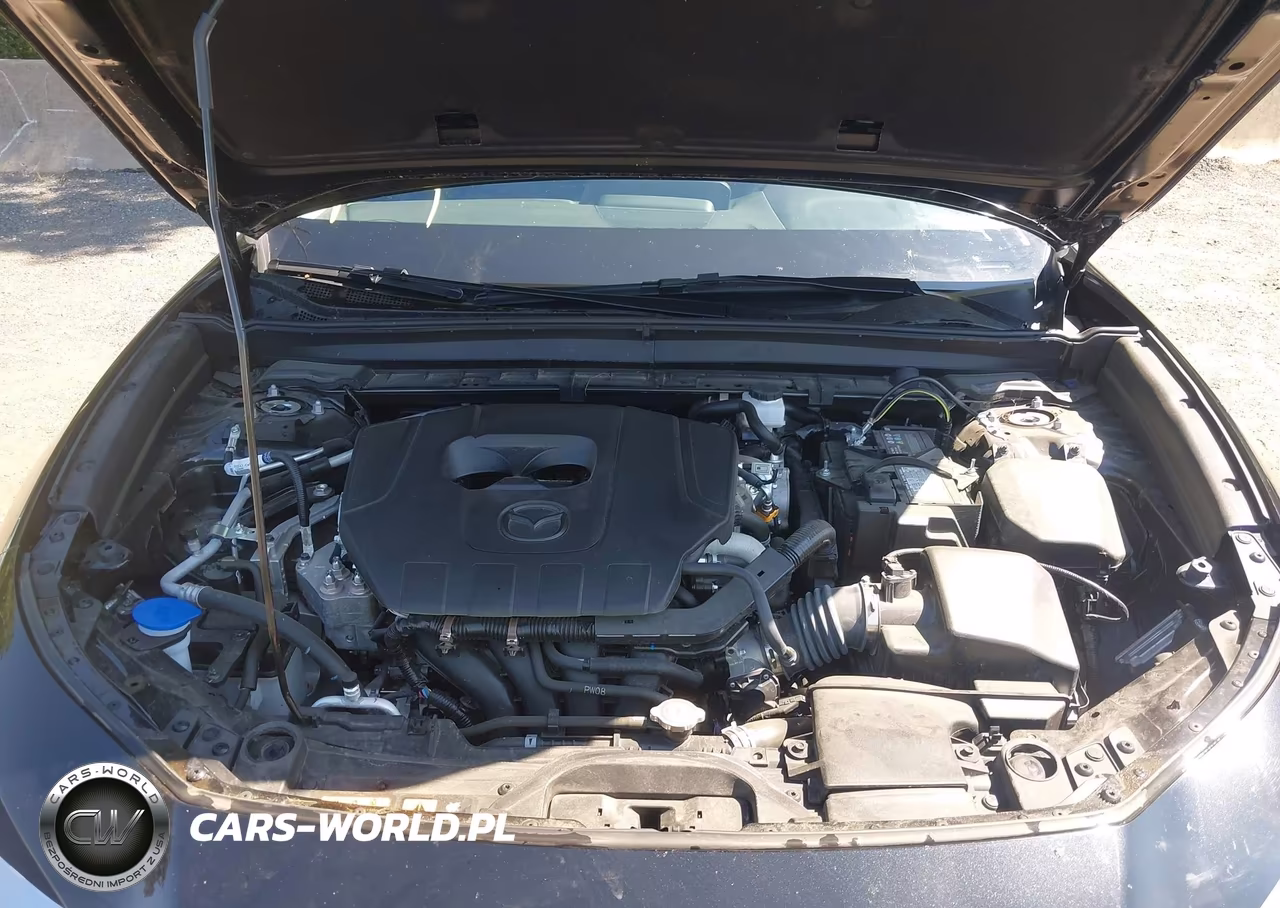 2025 Mazda Cx-30 2.5 S VIN:3MVDMBAM5SM834802 - 10