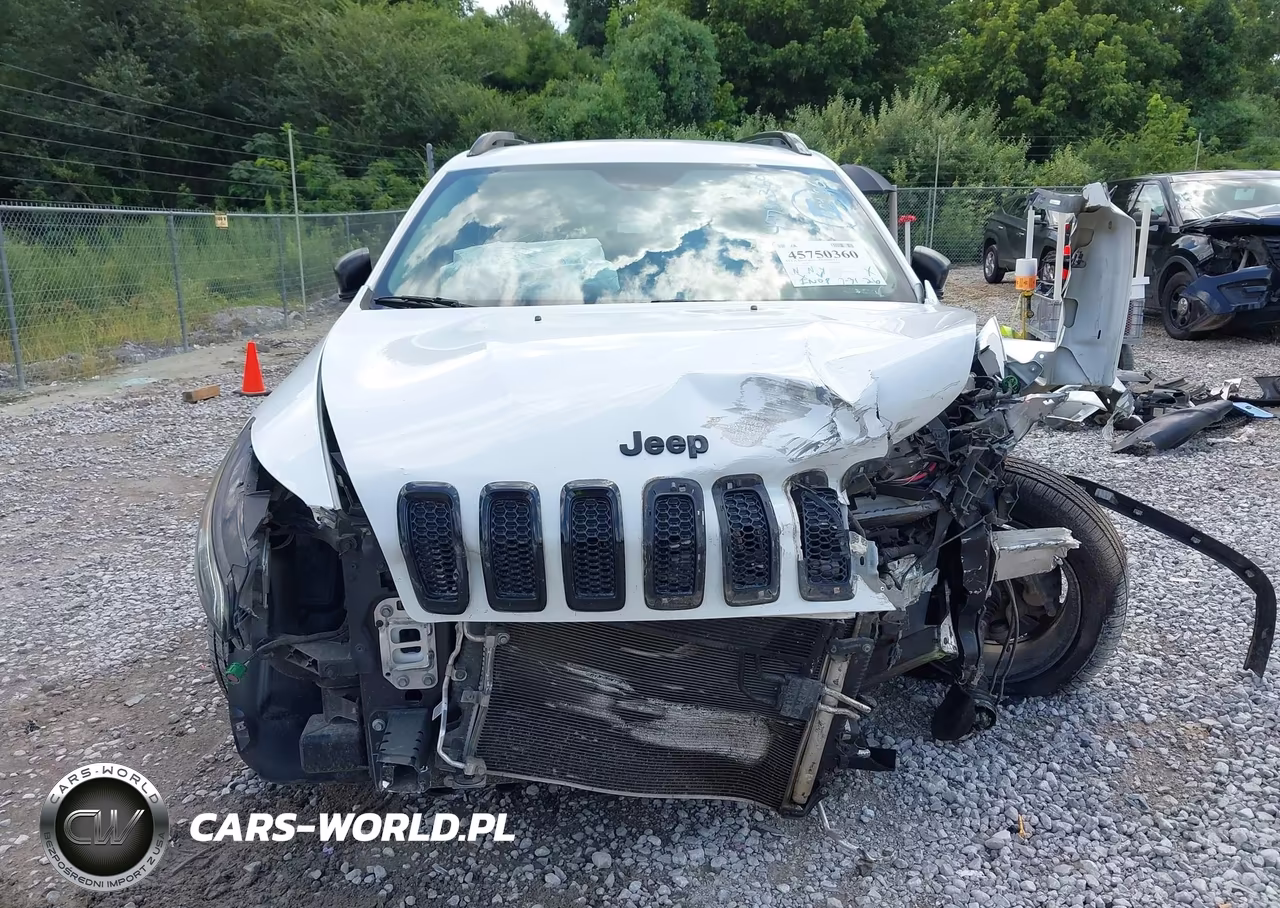 2017 Jeep Cherokee Altitude VIN:1C4PJLAS7HW572723 - 12