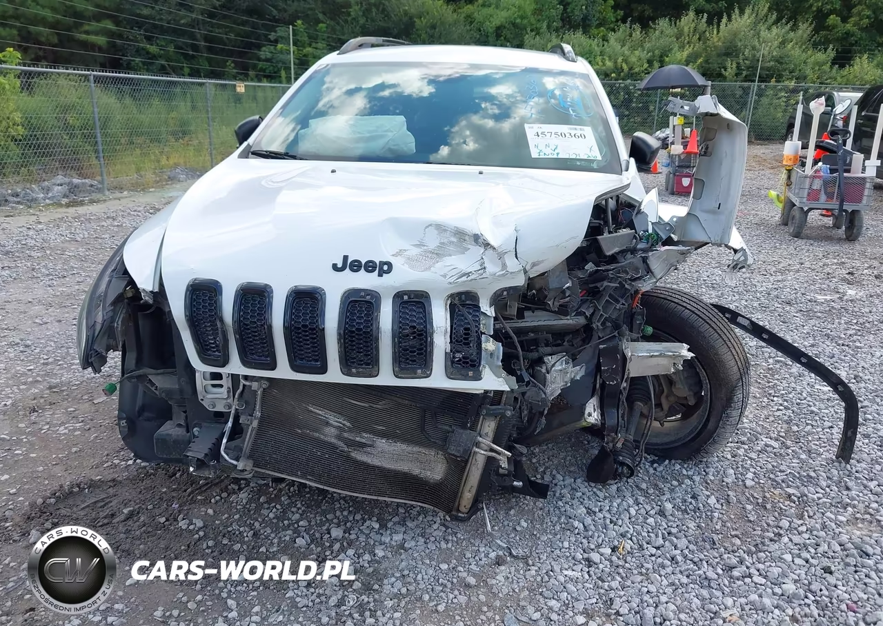 2017 Jeep Cherokee Altitude VIN:1C4PJLAS7HW572723 - 6