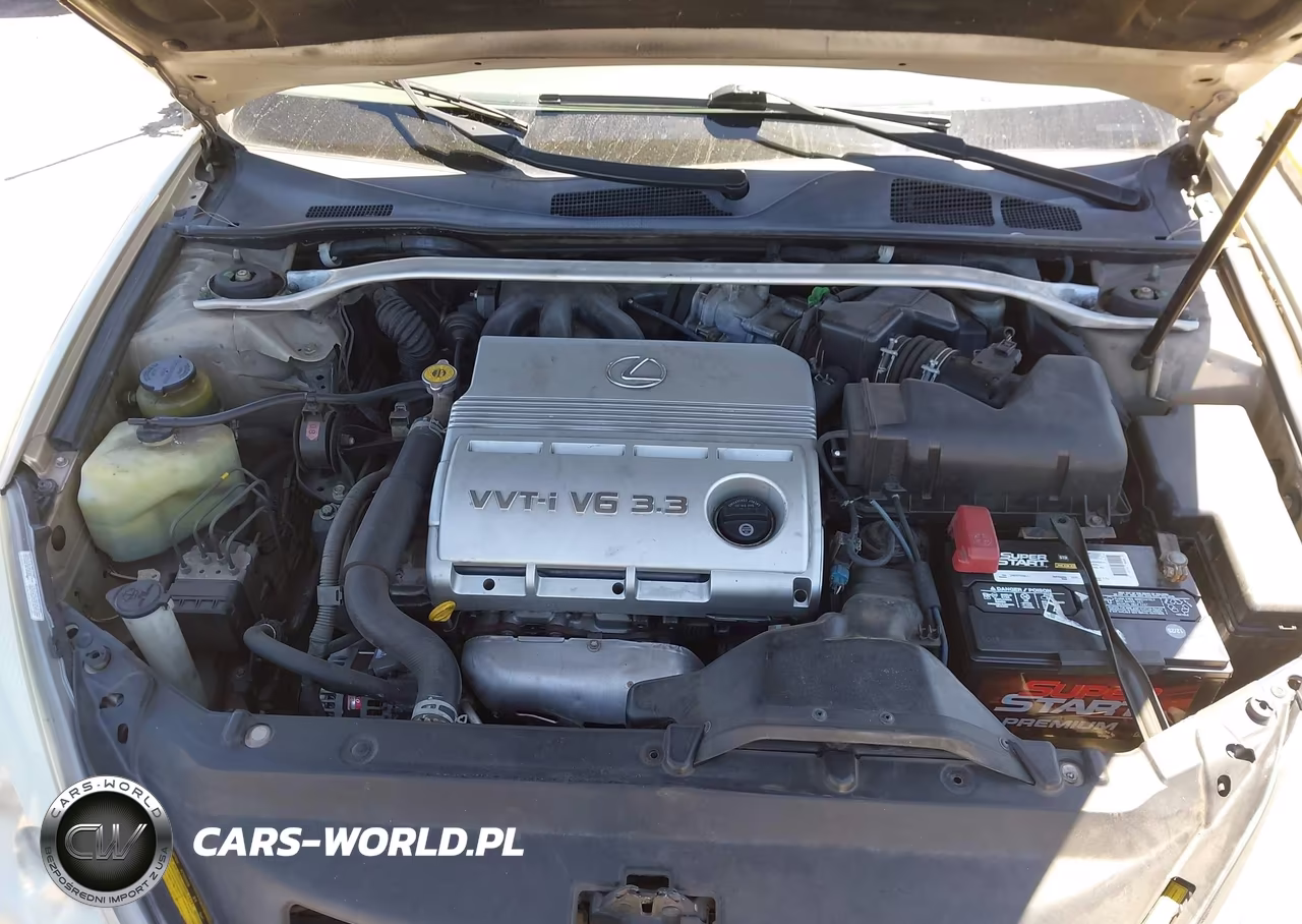 2004 Lexus Es 330 VIN:JTHBA30G440008501 - 10