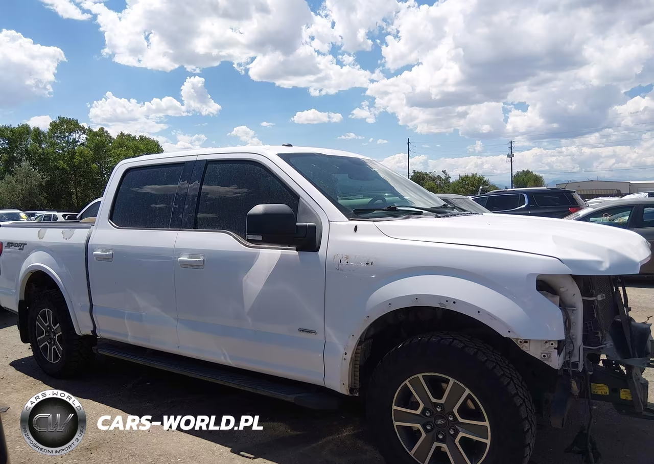 2016 Ford F-150 Xlt VIN:1FTEW1EP5GKF04073 - 13