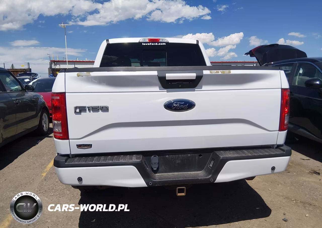 2016 Ford F-150 Xlt VIN:1FTEW1EP5GKF04073 - 16