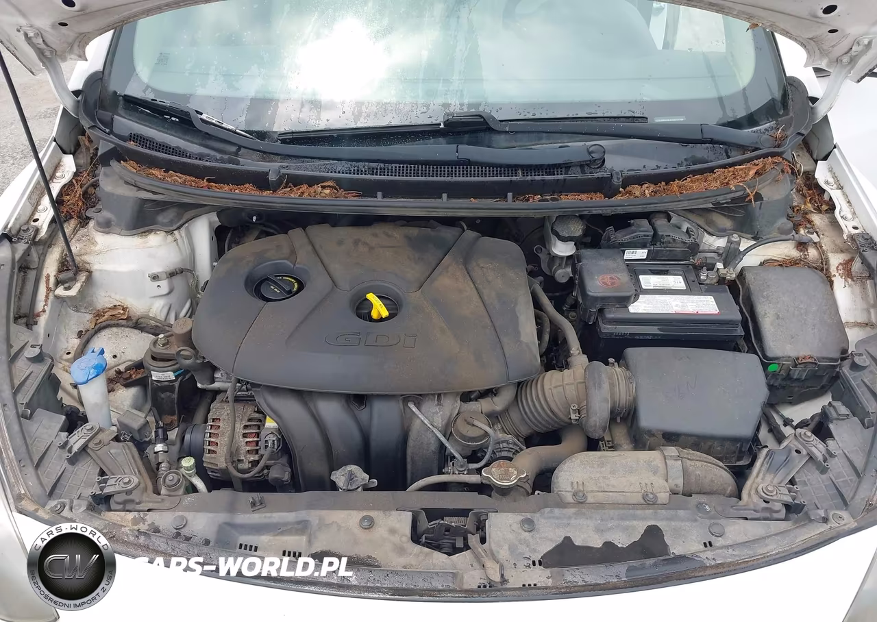 2014 Hyundai Elantra Gt VIN:KMHD35LH1EU211243 - 10