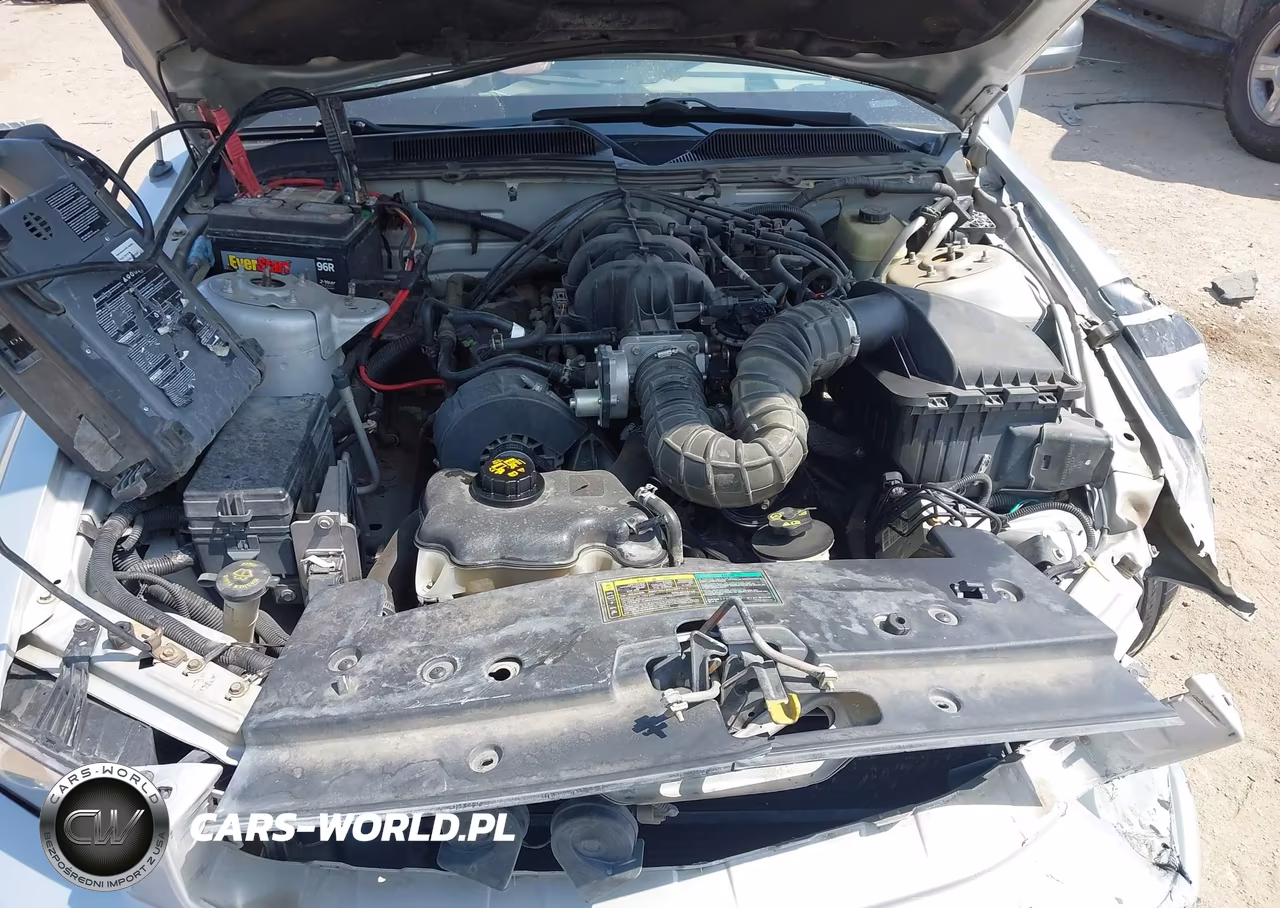 2005 Ford Mustang V6 Deluxe-V6 Premium VIN:1ZVFT80N255147892 - 10