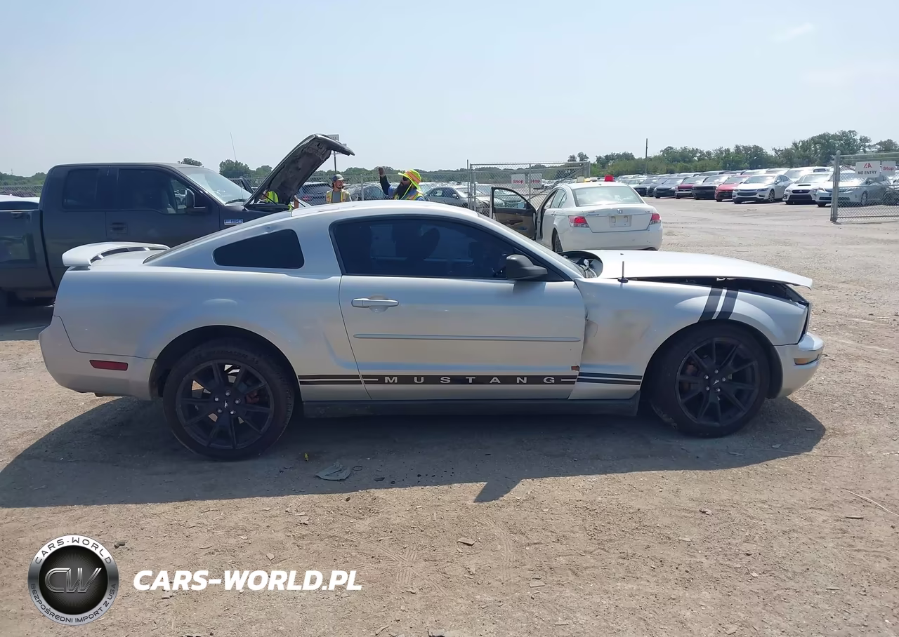 2005 Ford Mustang V6 Deluxe-V6 Premium VIN:1ZVFT80N255147892 - 13