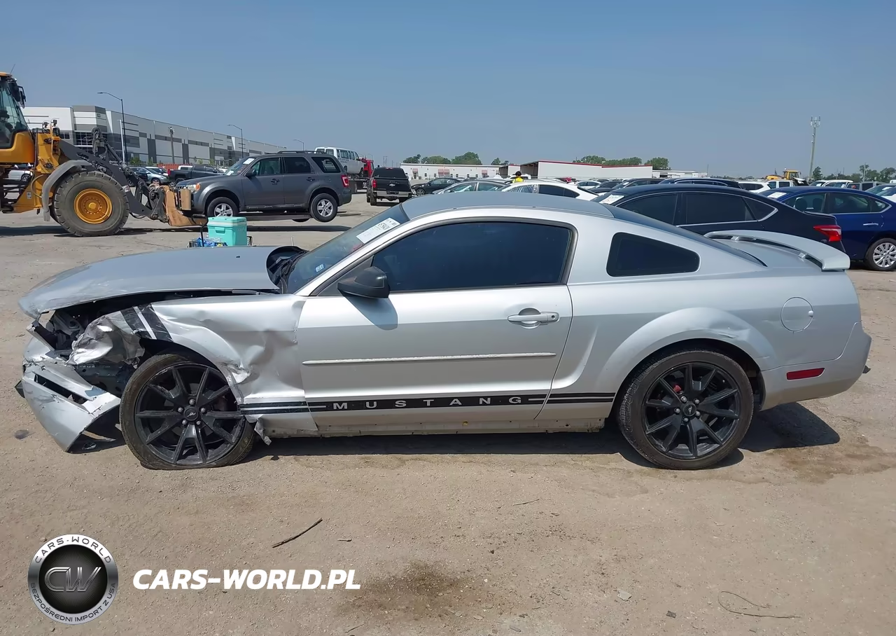 2005 Ford Mustang V6 Deluxe-V6 Premium VIN:1ZVFT80N255147892 - 14
