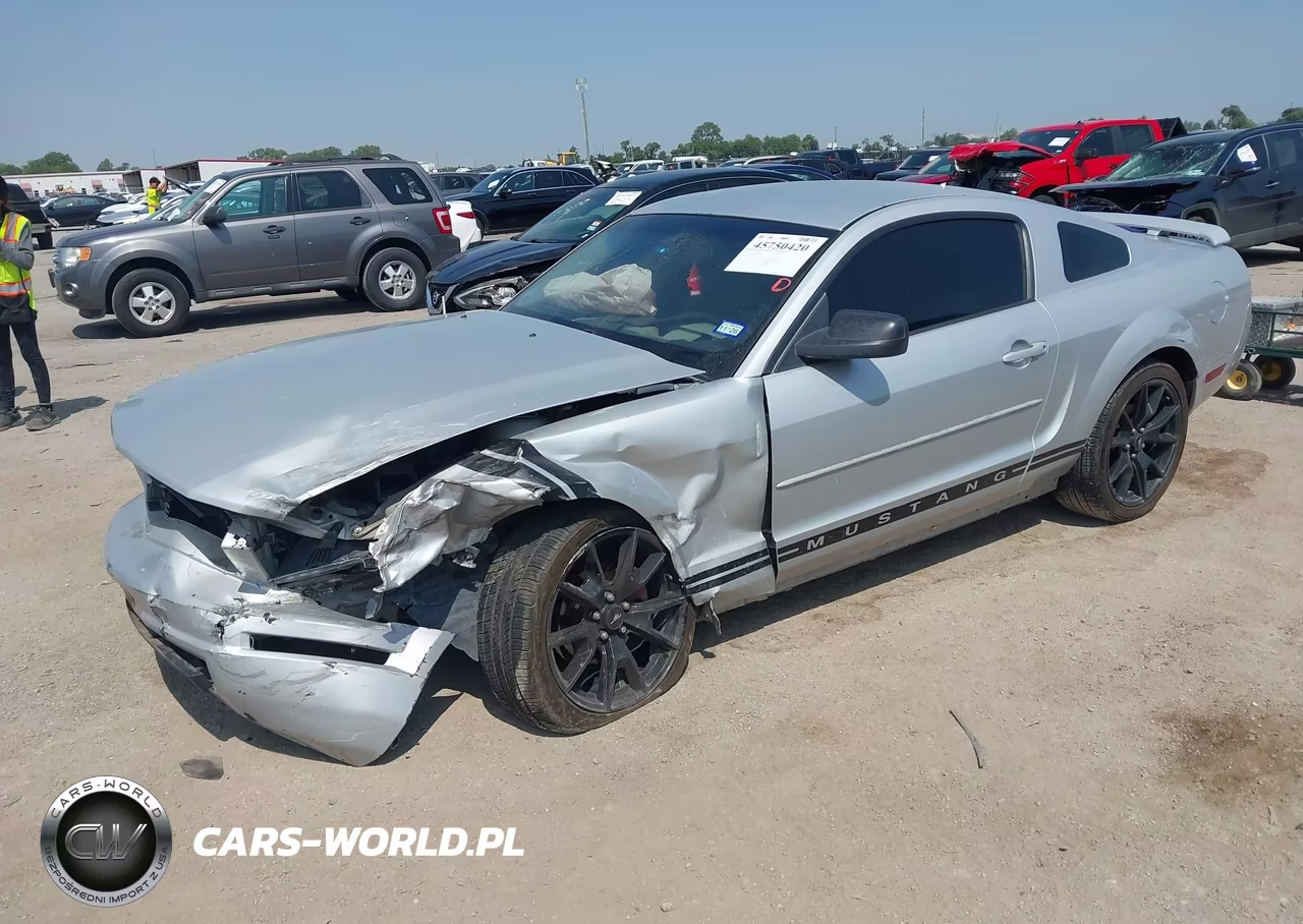 2005 Ford Mustang V6 Deluxe-V6 Premium VIN:1ZVFT80N255147892 - 2