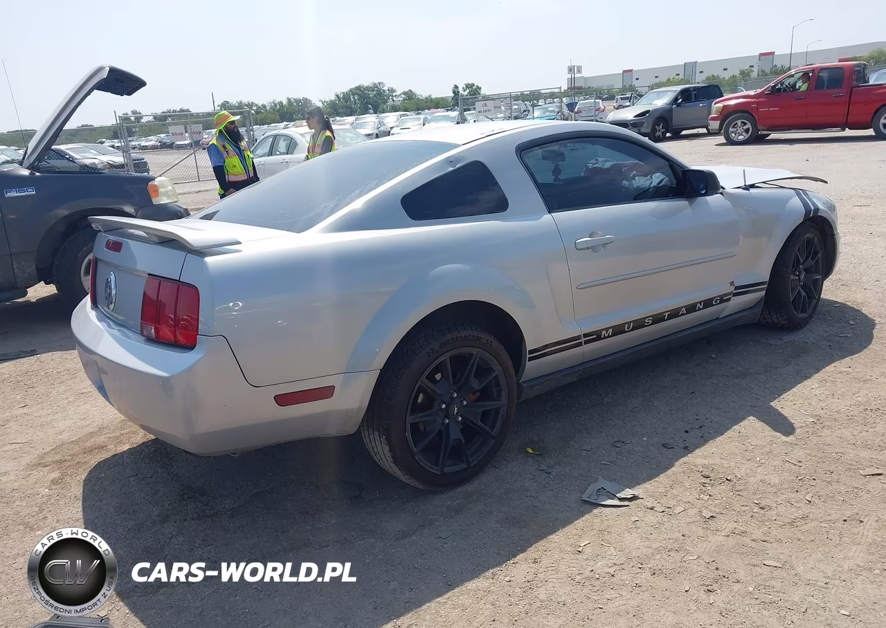 2005 Ford Mustang V6 Deluxe-V6 Premium VIN:1ZVFT80N255147892 - 4