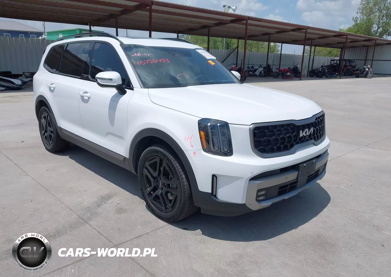 2023 Kia Telluride Sx Prestige X-Line VIN:5XYP5DGC4PG397451 - 1
