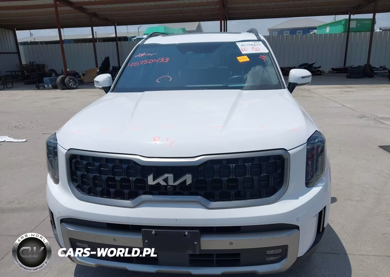 2023 Kia Telluride Sx Prestige X-Line VIN:5XYP5DGC4PG397451 - 12