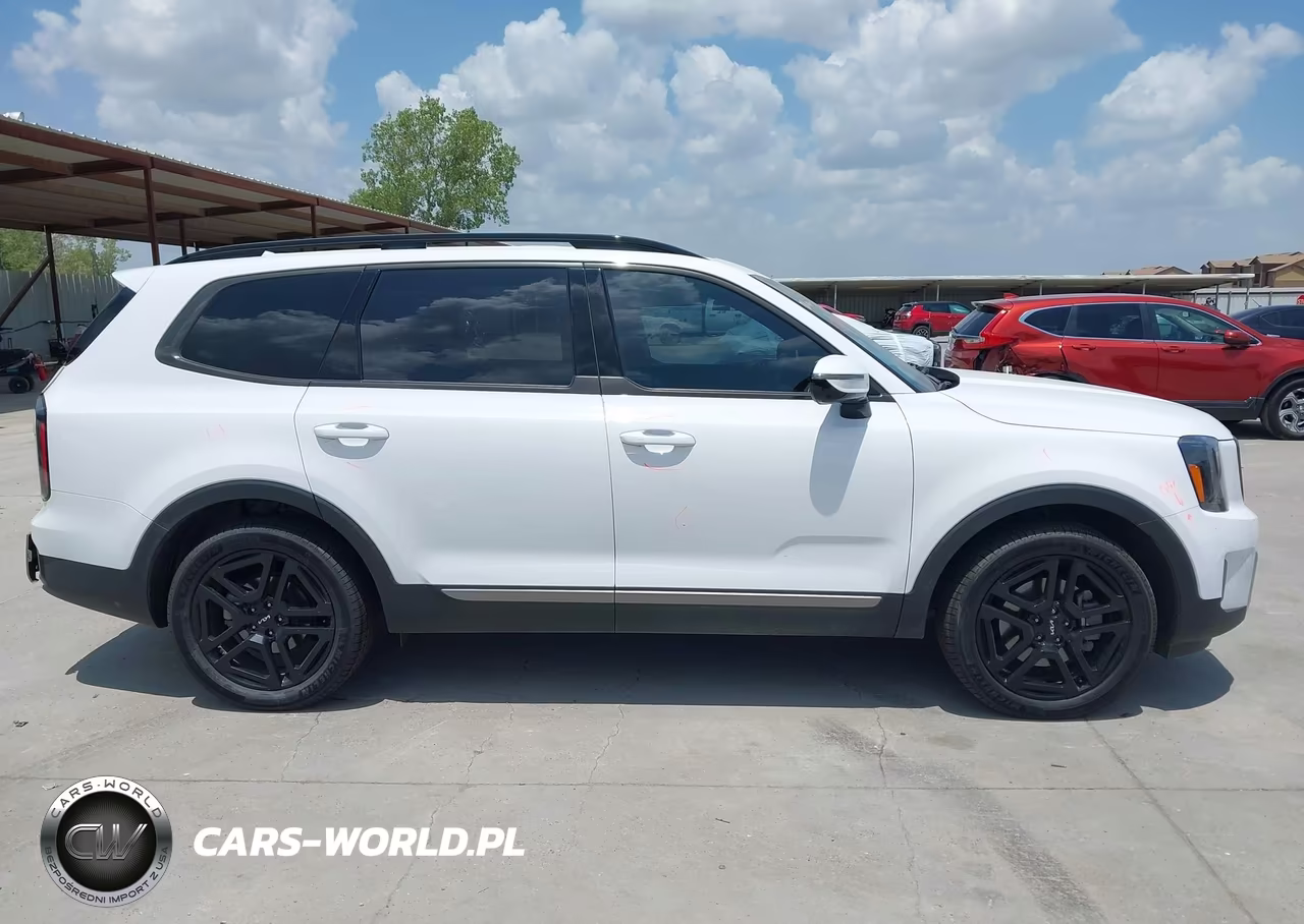 2023 Kia Telluride Sx Prestige X-Line VIN:5XYP5DGC4PG397451 - 13