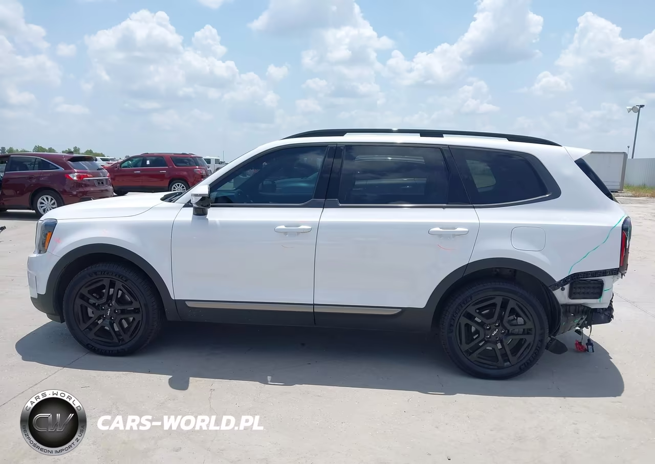 2023 Kia Telluride Sx Prestige X-Line VIN:5XYP5DGC4PG397451 - 14
