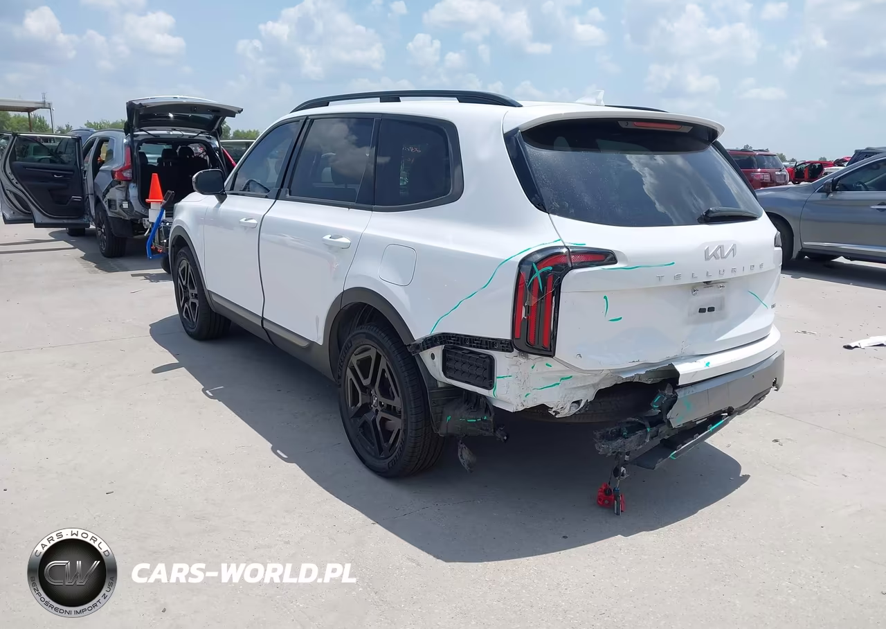 2023 Kia Telluride Sx Prestige X-Line VIN:5XYP5DGC4PG397451 - 3