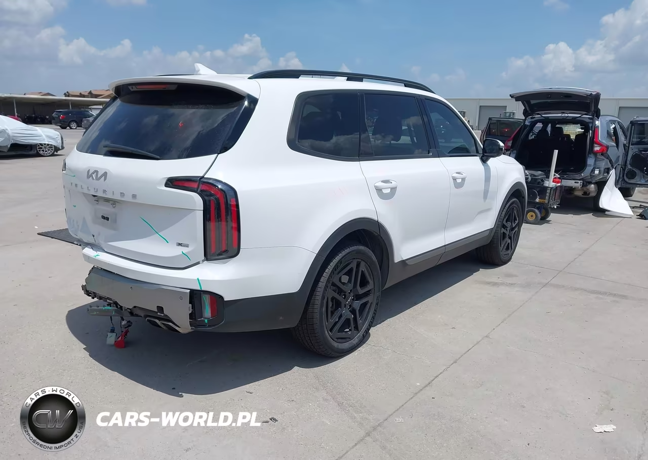 2023 Kia Telluride Sx Prestige X-Line VIN:5XYP5DGC4PG397451 - 4
