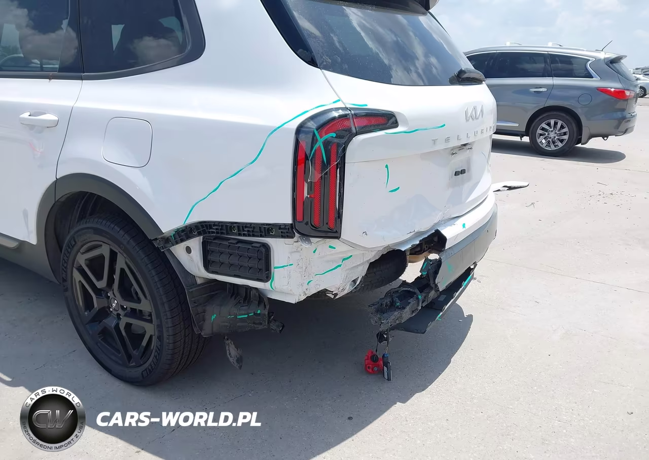 2023 Kia Telluride Sx Prestige X-Line VIN:5XYP5DGC4PG397451 - 6