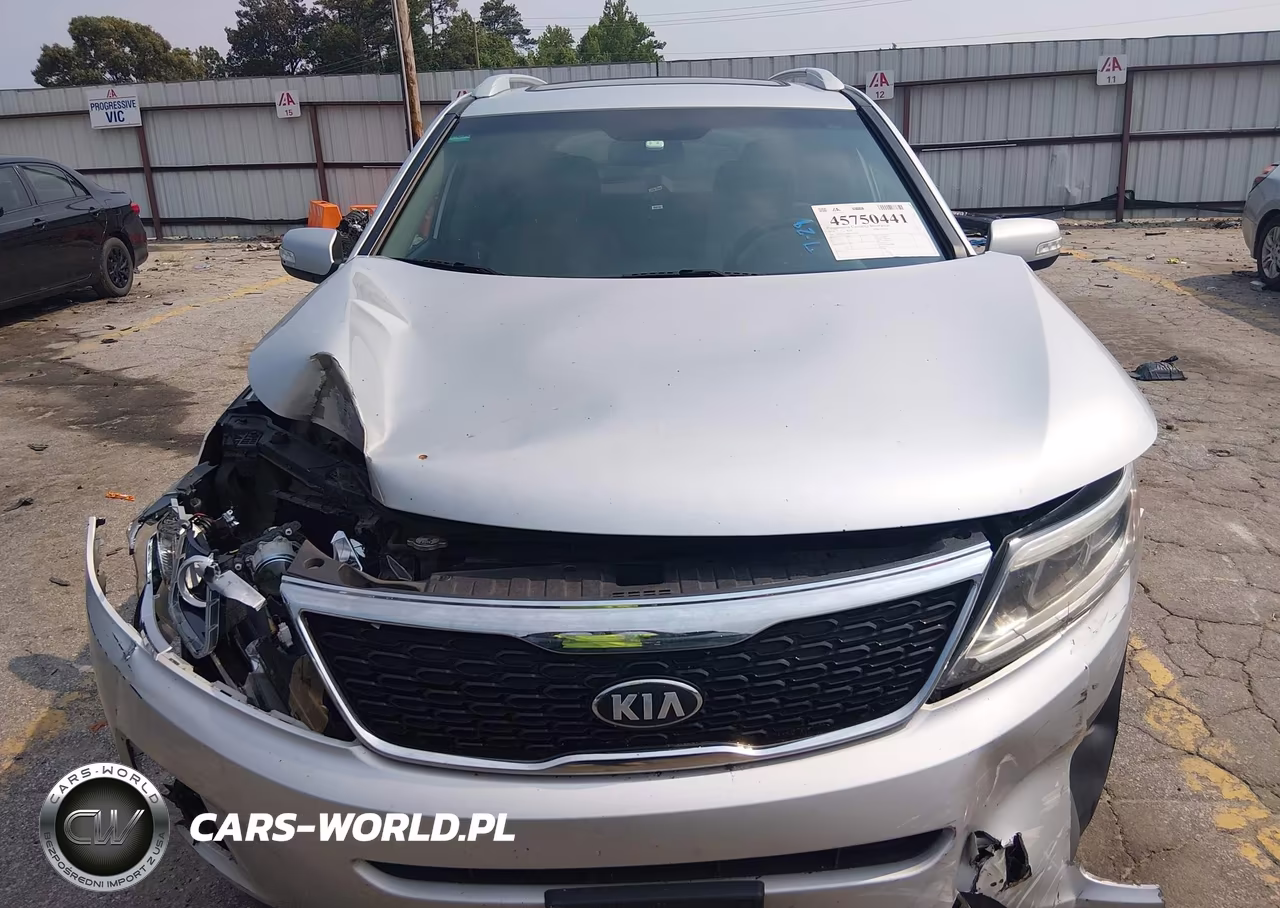 2014 Kia Sorento Lx VIN:5XYKTCA68EG450341 - 12