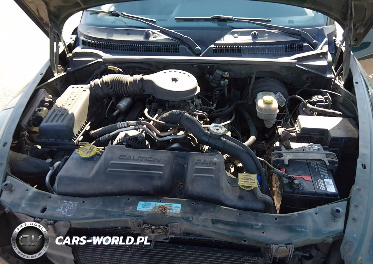 2000 Dodge Durango VIN:1B4HS28ZXYF301005 - 10