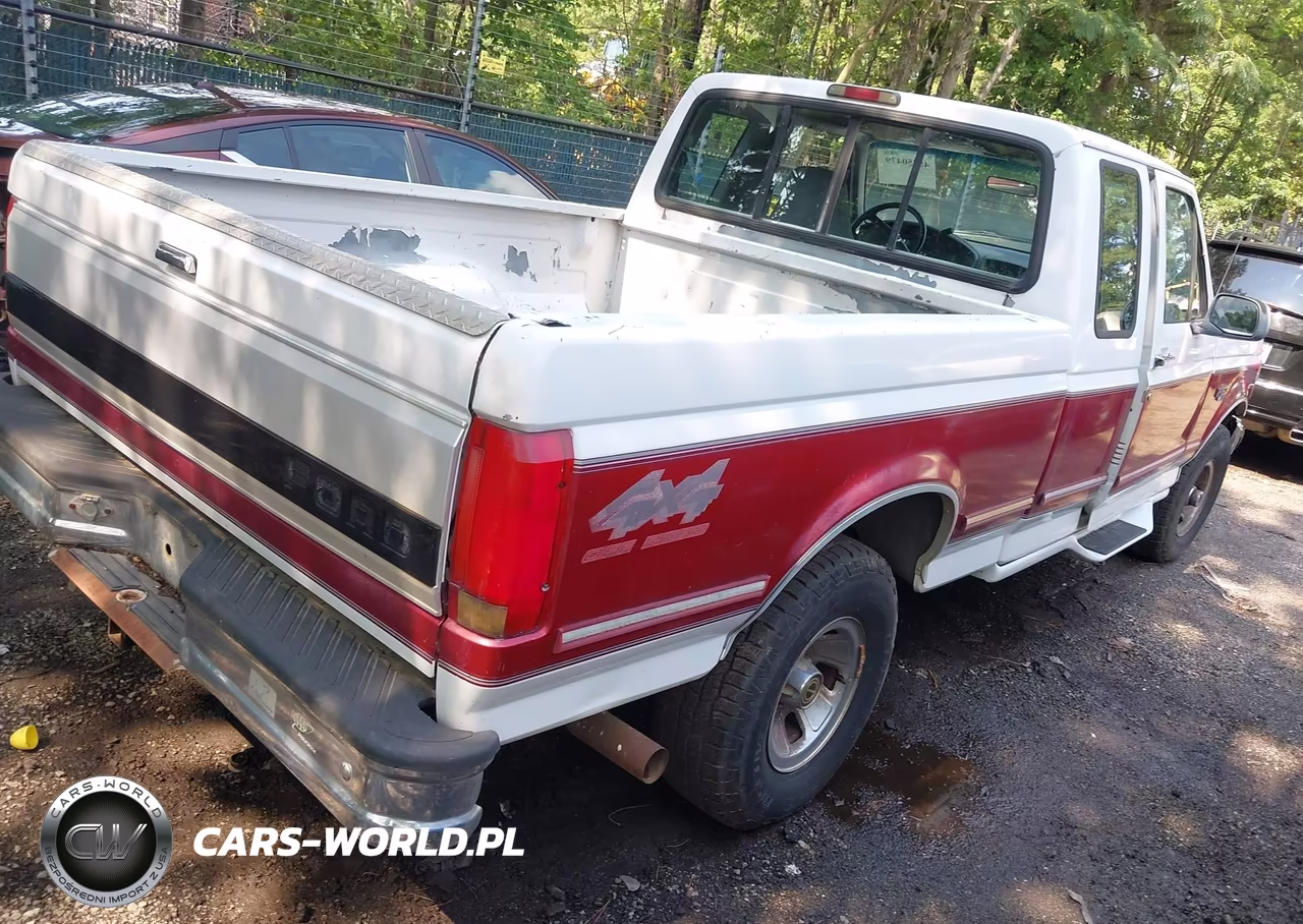 1995 Ford F150 VIN:1FTEX14H4SKB22861 - 4