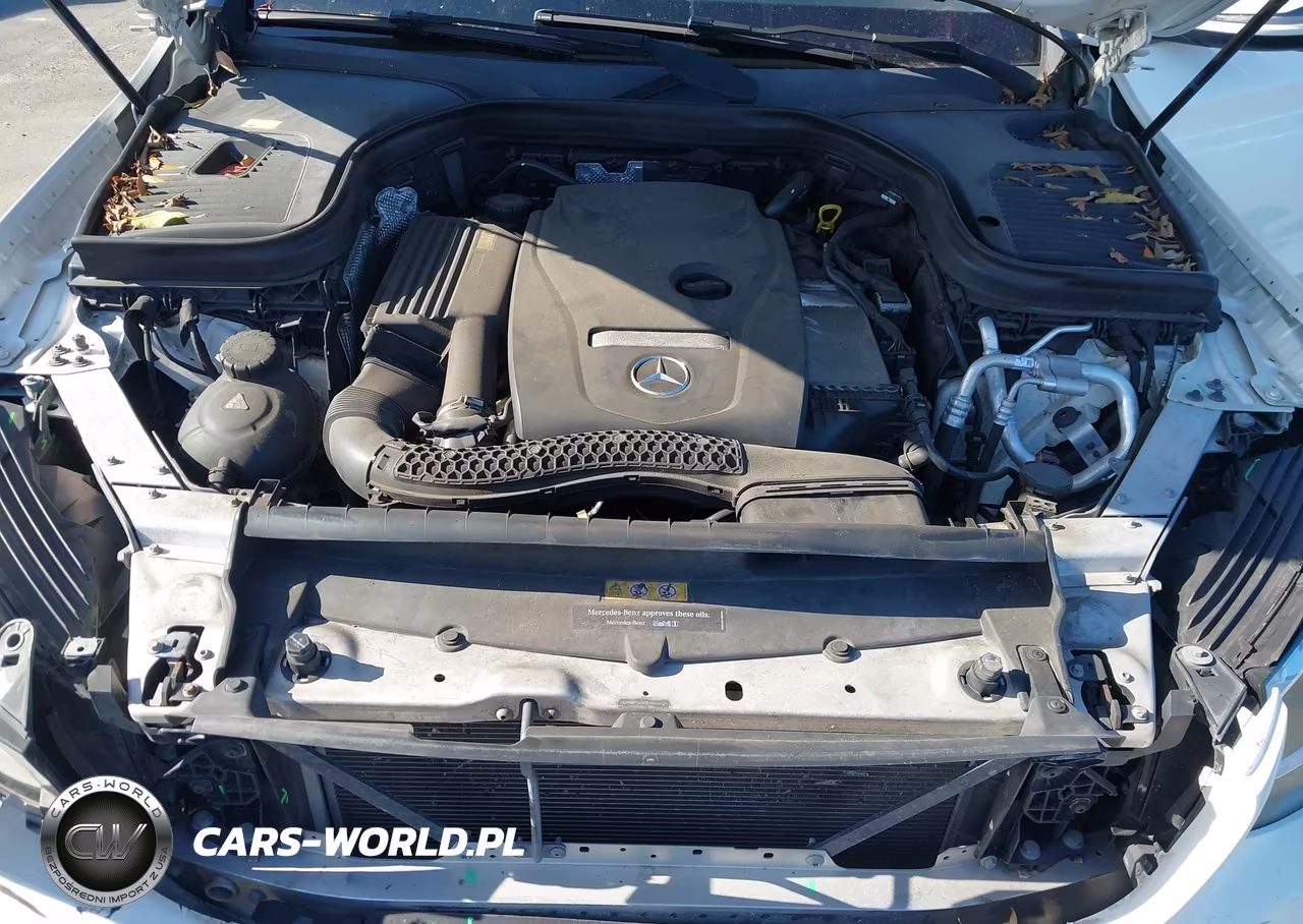 2016 Mercedes-Benz Glc 300 VIN:WDC0G4JBXGF078290 - 10