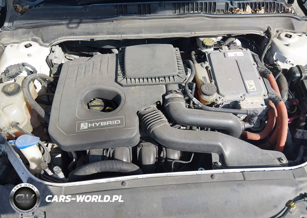 2013 Ford Fusion Hybrid Titanium VIN:3FA6P0RUXDR289203 - 10