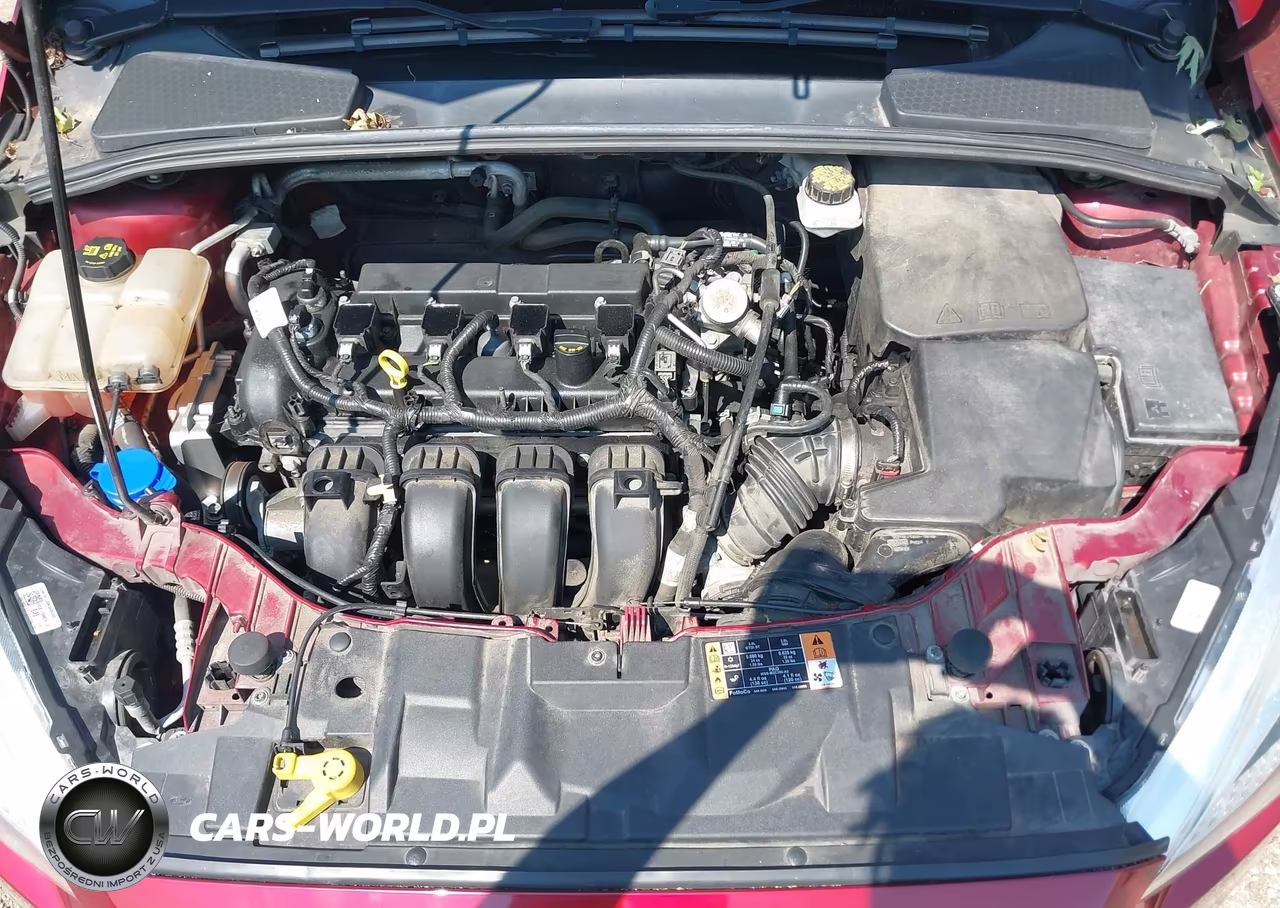 2017 Ford Focus Se VIN:1FADP3F26HL346609 - 10