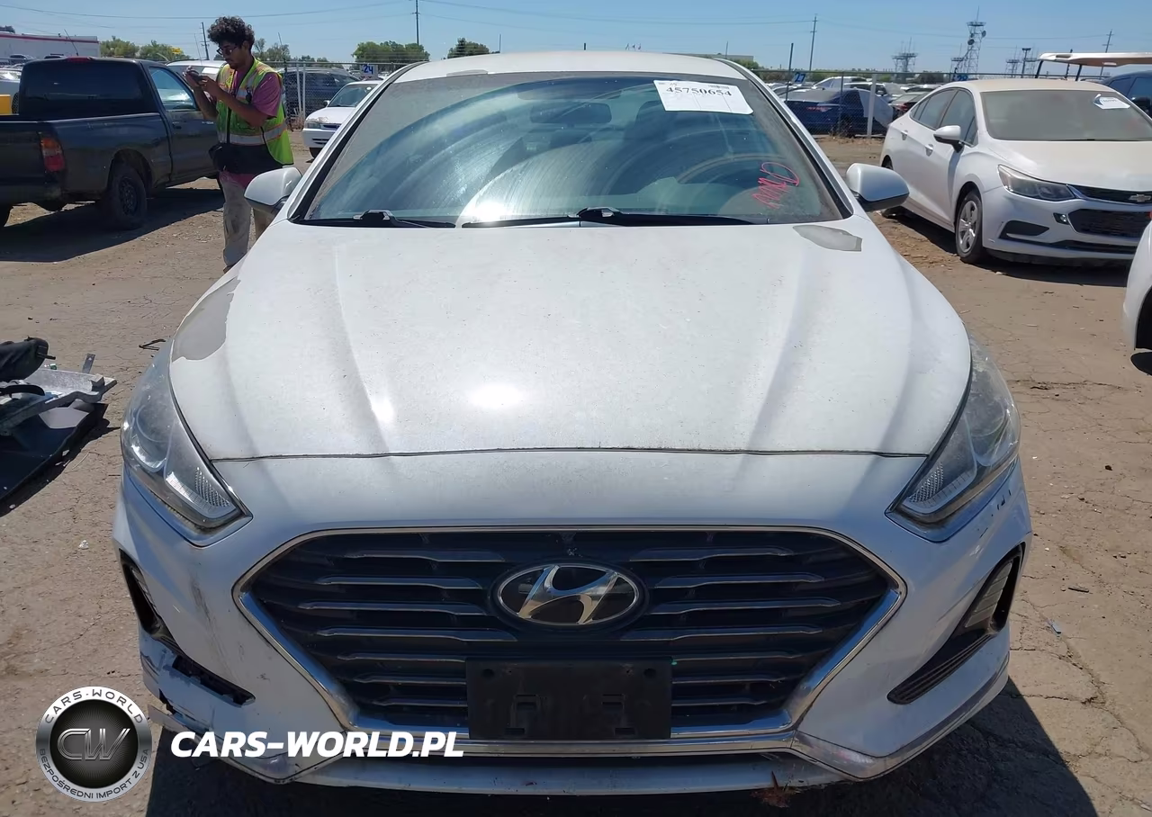 2019 Hyundai Sonata Se VIN:5NPE24AF1KH738910 - 13