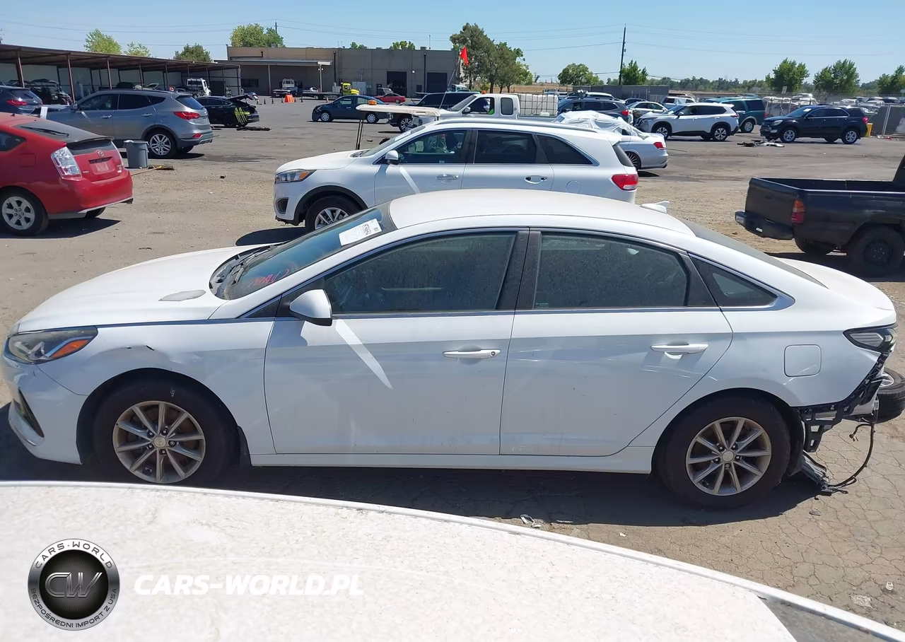 2019 Hyundai Sonata Se VIN:5NPE24AF1KH738910 - 15