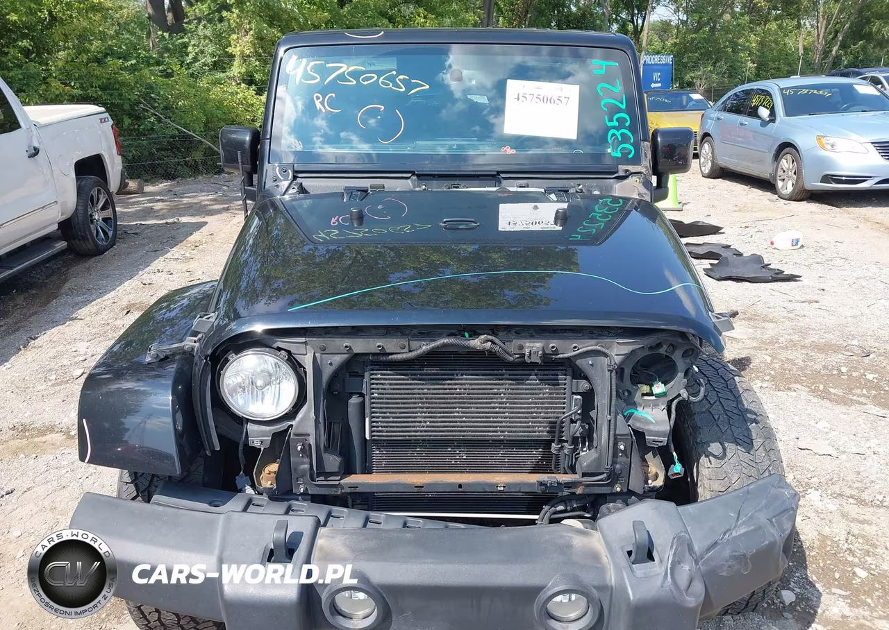 2014 Jeep Wrangler Unlimited Altitude VIN:1C4BJWEG4EL282874 - 12
