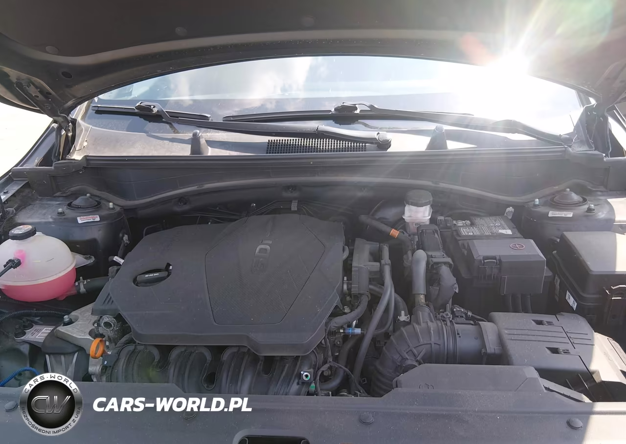 2023 Kia Sportage X-Line VIN:5XYK6CAF2PG054996 - 10