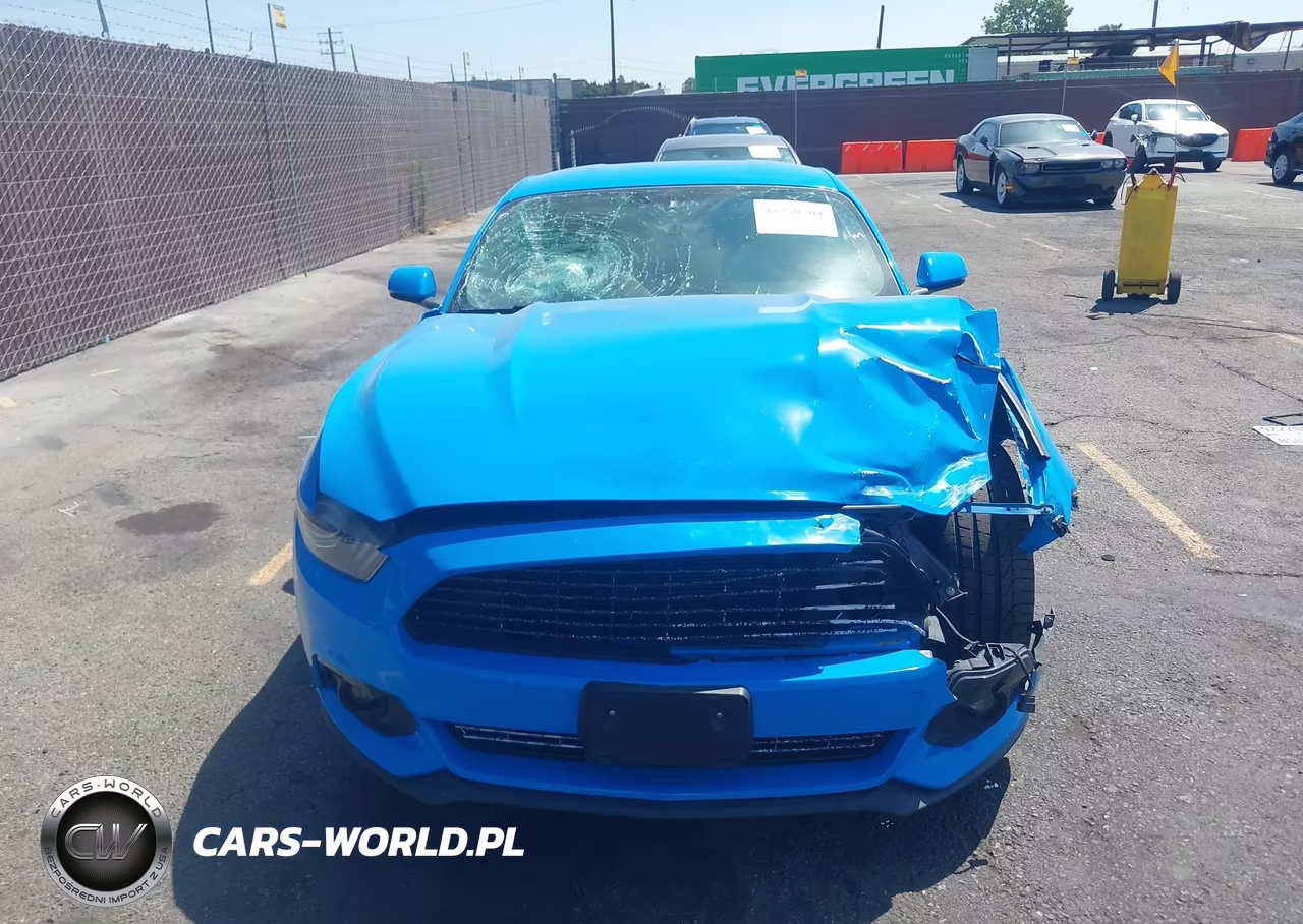 2017 Ford Mustang Ecoboost VIN:1FA6P8THXH5227061 - 12
