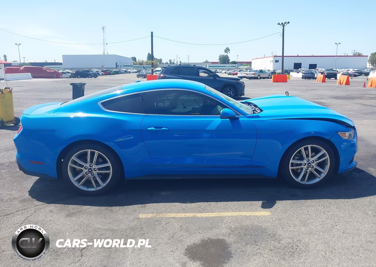 2017 Ford Mustang Ecoboost VIN:1FA6P8THXH5227061 - 13